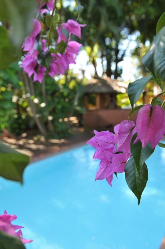 La Locanda Art & Taste Retreat - image 14