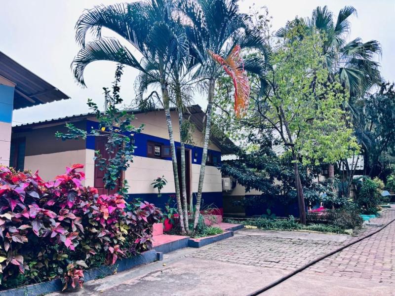 VIVA Resort - image 14