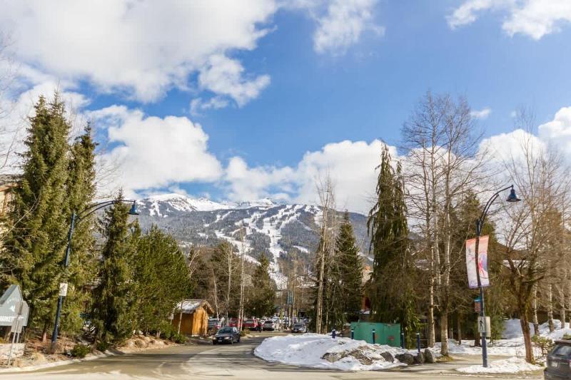 FABULOUS LOCATION Private Hot Tub NO Car needed Sleeps 8 - image 16