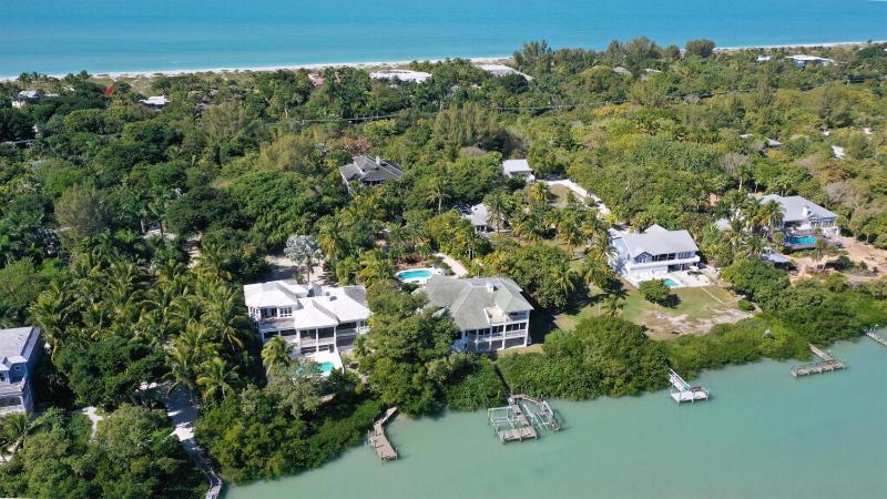 Coconut Palm House - image 1