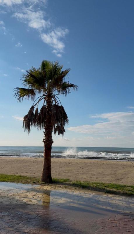 SunBeach Apartament - image 1