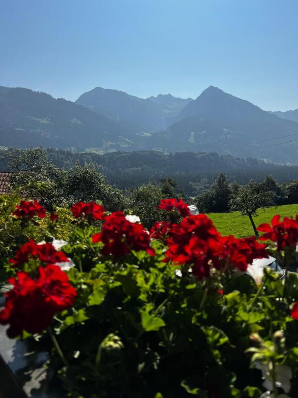 Gästehaus Alpenruh - image 26