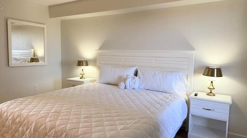 Fabulous Oceanfront 1bd pool and hot tub - image 13