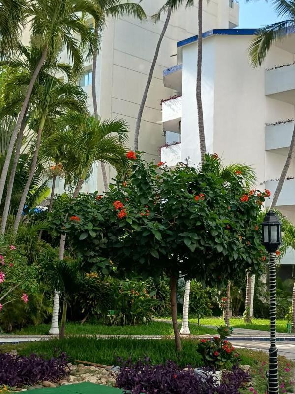 Hotel Acapulco Malibu - image 21