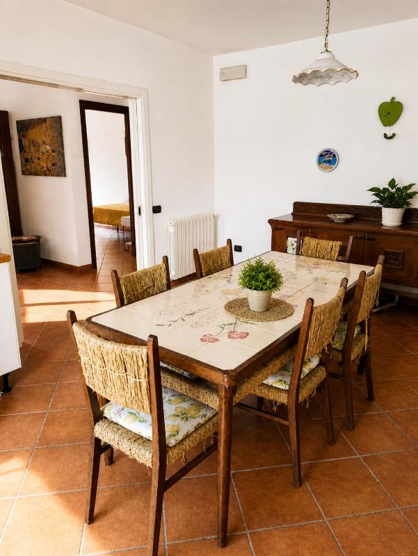 Domus Pannella - Endless Summer - image 30