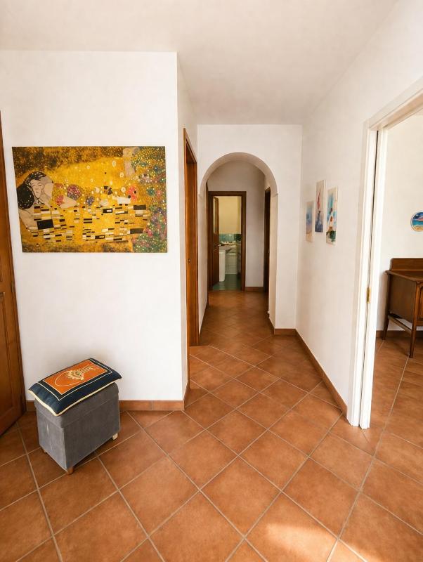 Domus Pannella - Endless Summer - image 37