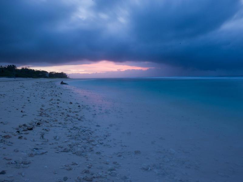 Tamanu on the Beach - image 6