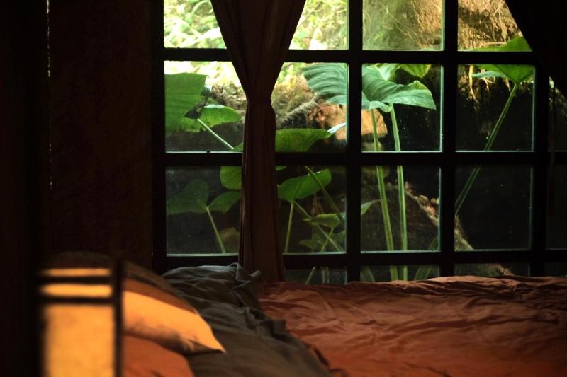 Bluebird chill homestay with Bamboo and Stream - image 1