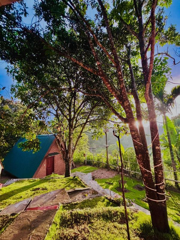 Green Forest Cabanas - Ella - image 31