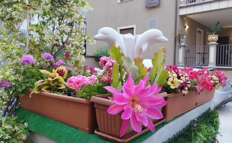 Residenza La Torre - image 31