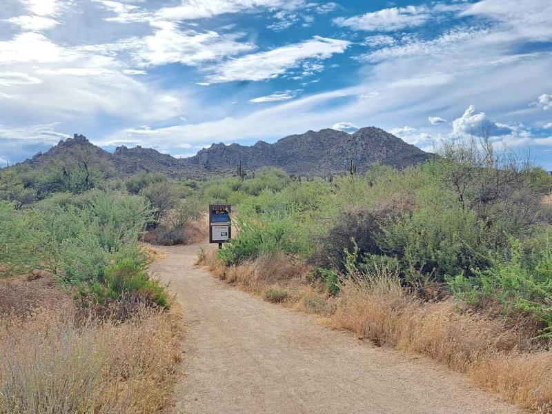 Scottsdale Oasis - Hot tub-Hike-Views-Kids YES! - image 2
