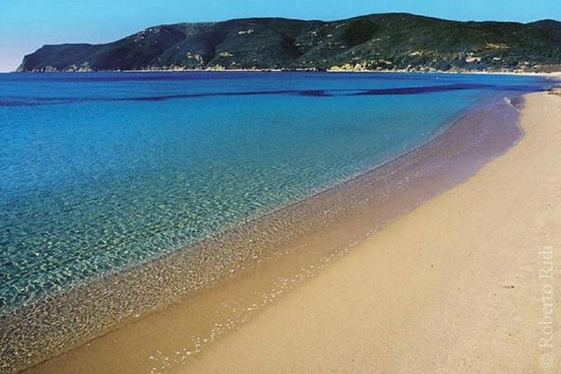 App To Golfo Stella - Trilocale - image 8