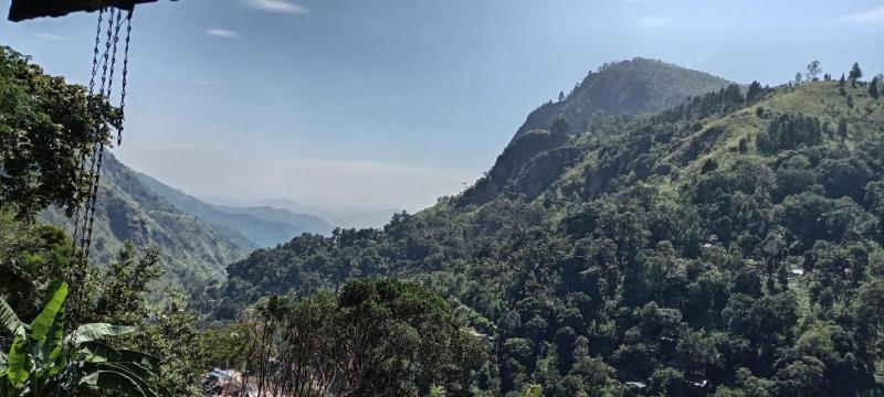 Ella Wood Mountain - image 10