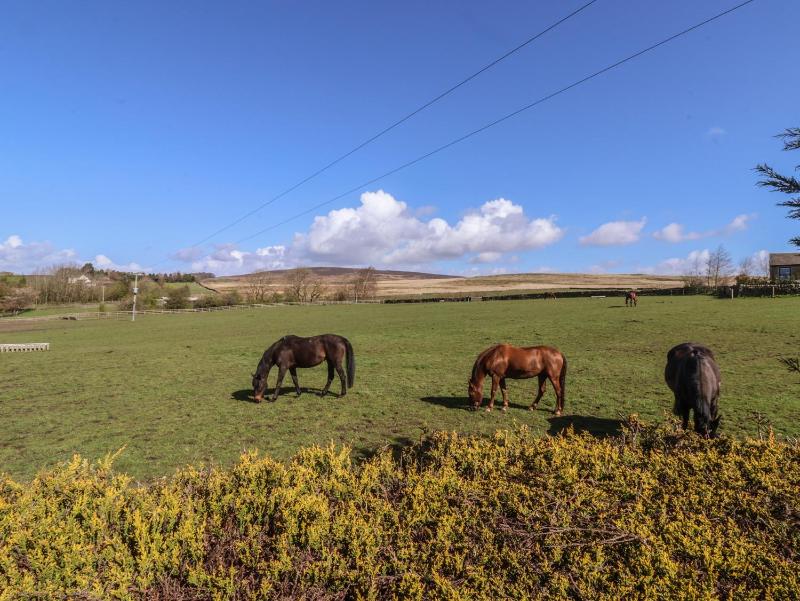 1 Upper Austby Farm Cottage - image 2