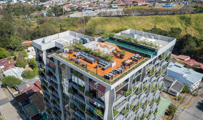 Executive Loft Babylon Nunciatura - Fungi Edition - image 16