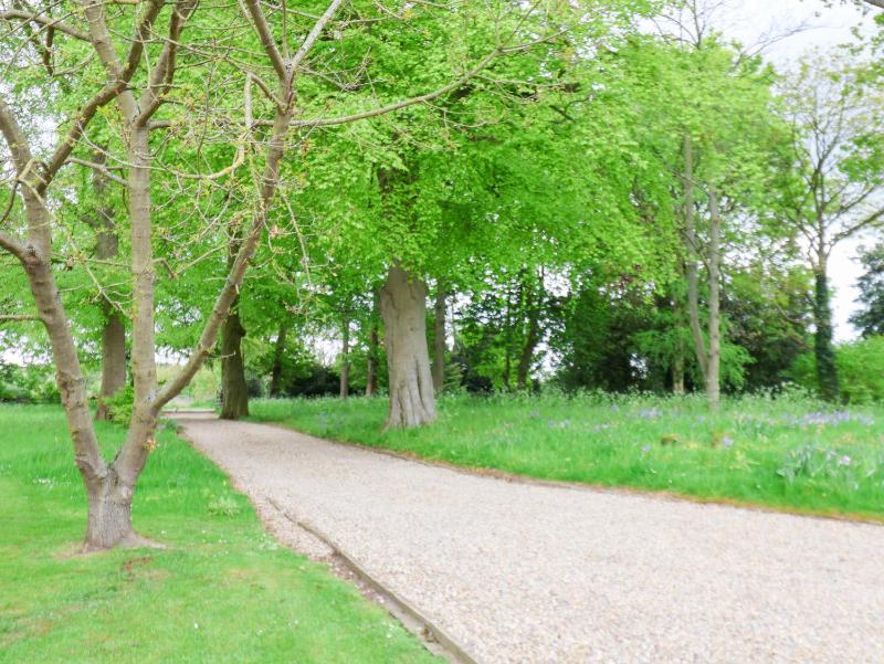 The Gardener's Cottage Low Hall - image 34