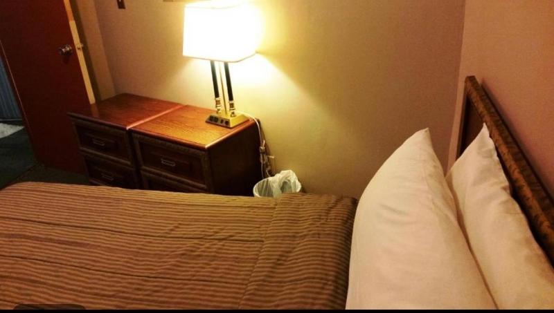 A Voyageur's Guest House - image 12