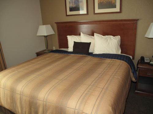 Studio Suite with Two Double Beds image 3