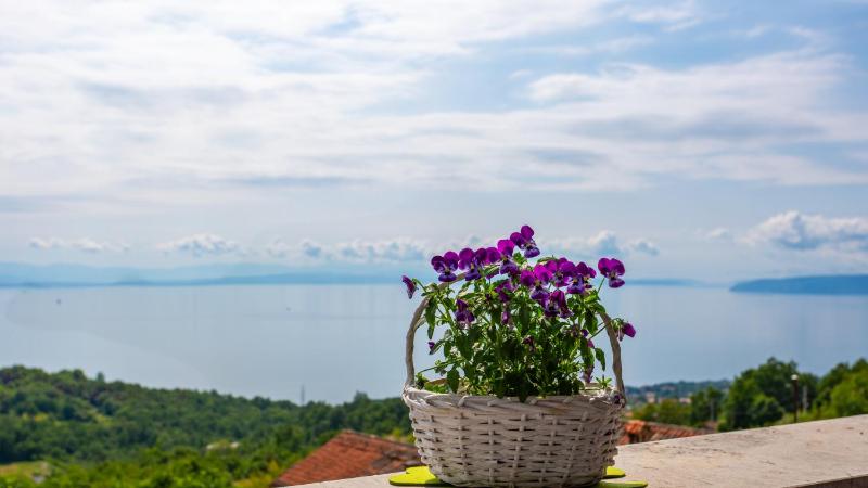 Apartment Dasa with pool by Villas Guide - image 2