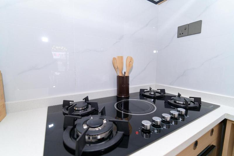 Elegant classy two bedroom apartments with amazing city views ample parking space child playground and scenic city view - image 5