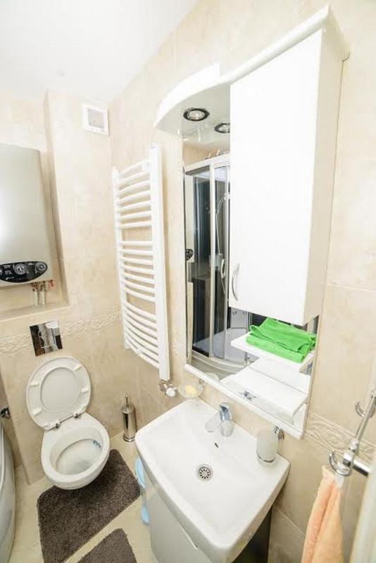 One-Bedroom Apartment image 4