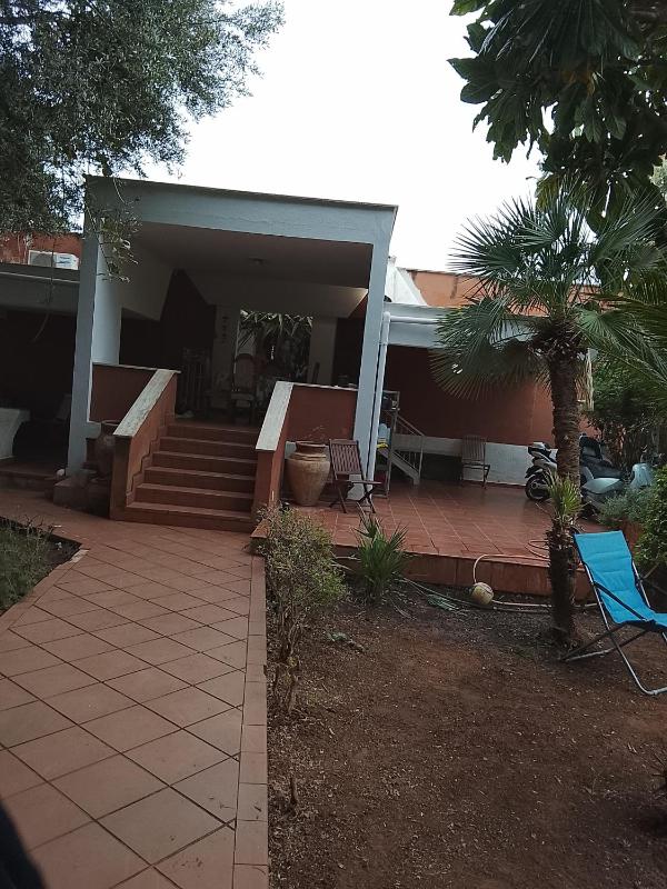 garden beach Sam - image 2