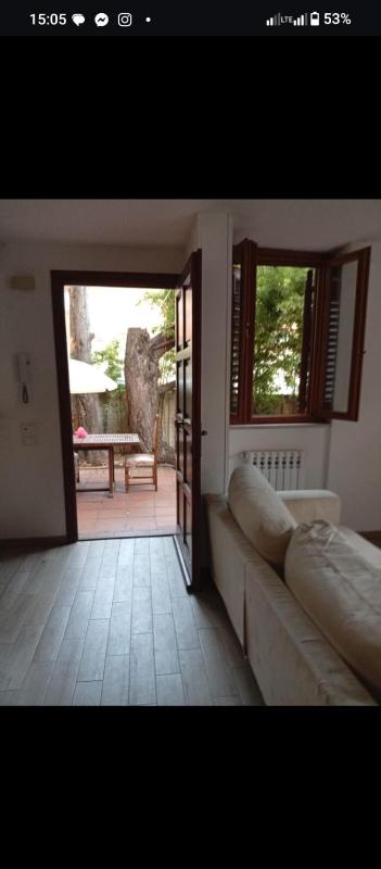 garden beach Sam - image 10