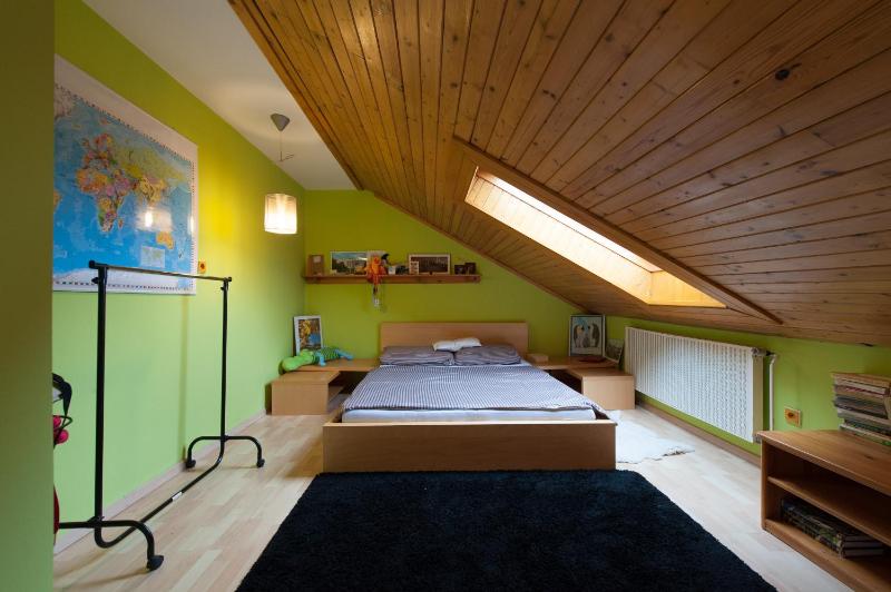 Czech Family Home - image 7