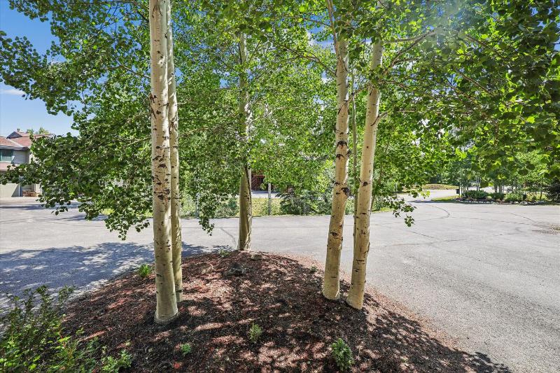 Highland Greens 25 Townhome in Breckenridge with a Private Hot Tub - image 24
