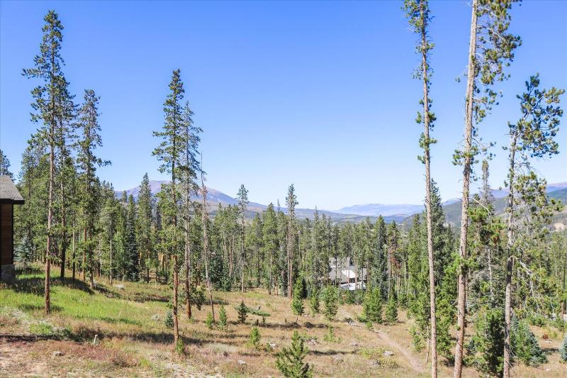 Highlands Hideaway Gorgeous Breckenridge Private Home with Private Hot Tub - image 45