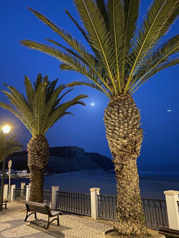 Horizonte Azul - image 3