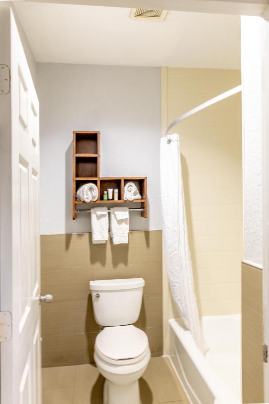Azul Inn Houston Hobby Airport - image 18