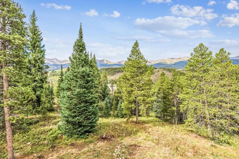 Little Bear Lodge Large Highlands Home Private Hot Tub Pet Friendly Great Views - image 16