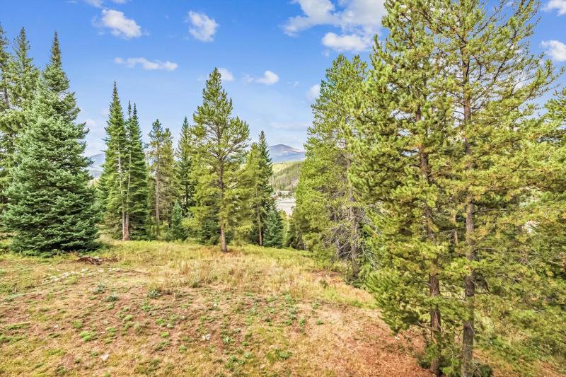 Little Bear Lodge Large Highlands Home Private Hot Tub Pet Friendly Great Views - image 26