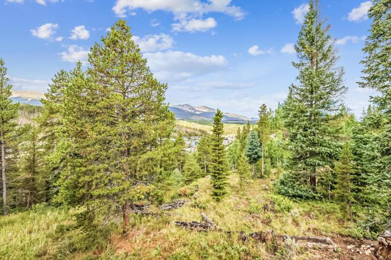 Little Bear Lodge Large Highlands Home Private Hot Tub Pet Friendly Great Views - image 9