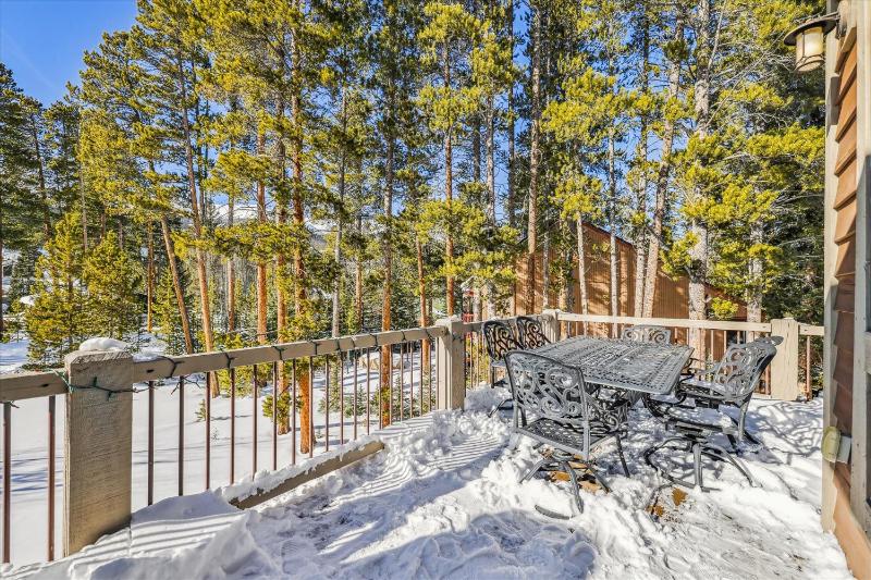 Lone Hand Lodge Custom Private Home on Peak 7 With Outdoor Grill and Hot Tub - image 40
