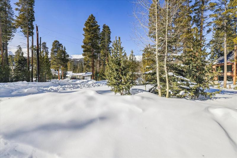 Lone Hand Lodge Custom Private Home on Peak 7 With Outdoor Grill and Hot Tub - image 10