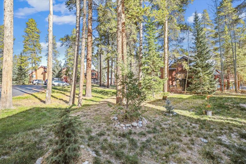 Park Forest Chalet- Pet Friendly Breck Home with Hot Tub - image 35