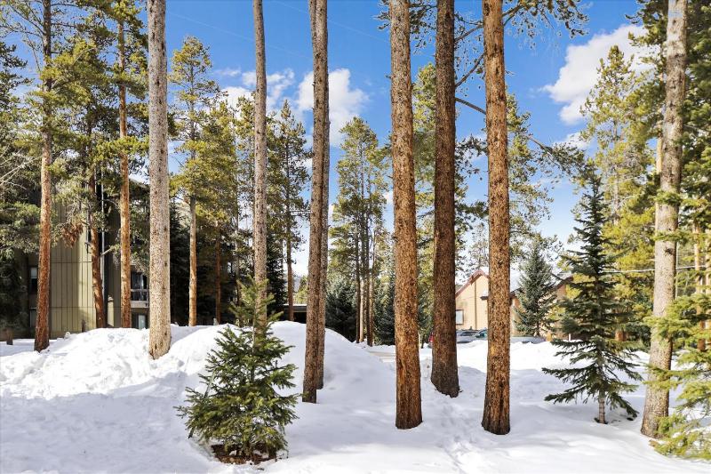 Park Forest Chalet- Pet Friendly Breck Home with Hot Tub - image 45
