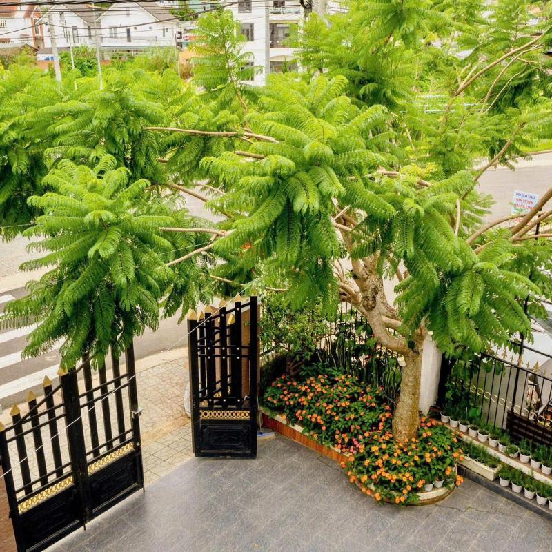 Bảo Ngọc Villa - image 9