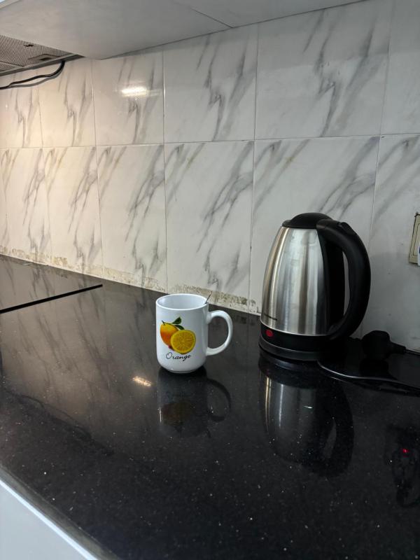 MN home - image 12