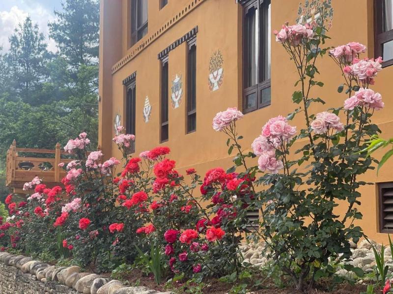 Haven Resort Paro - image 10