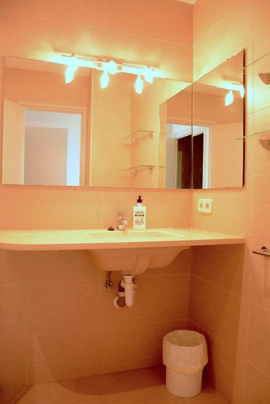 Three-Bedroom Apartment B image 4