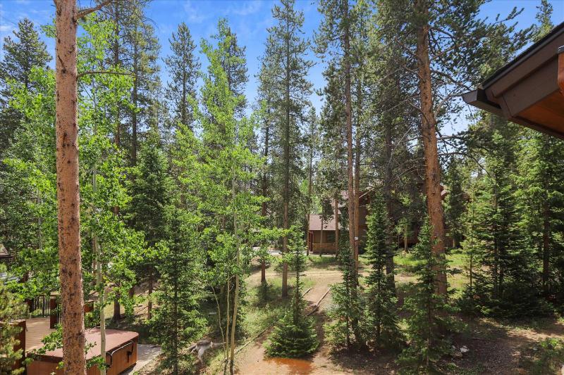Shock Hill Retreat Excellent Location Breck Townhome with Hot Tub Near Gondola - image 15