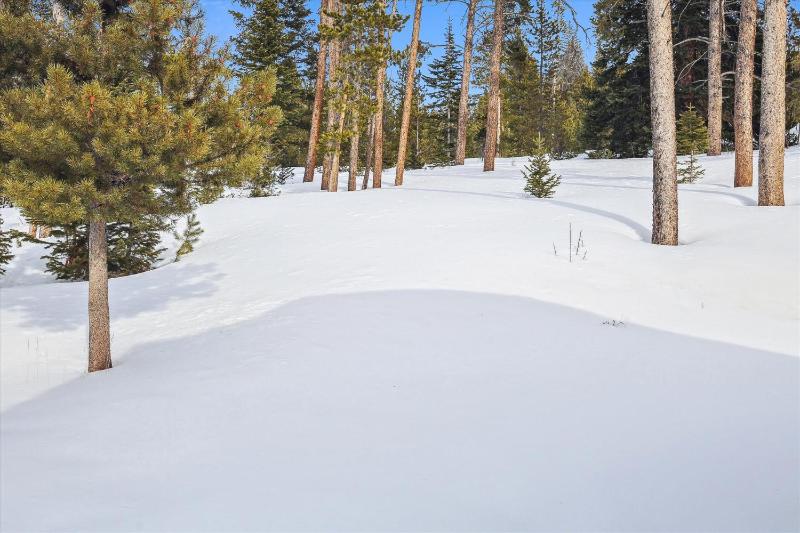 Silver Shekel Retreat Breck Home with Hot Tub and Views - image 41
