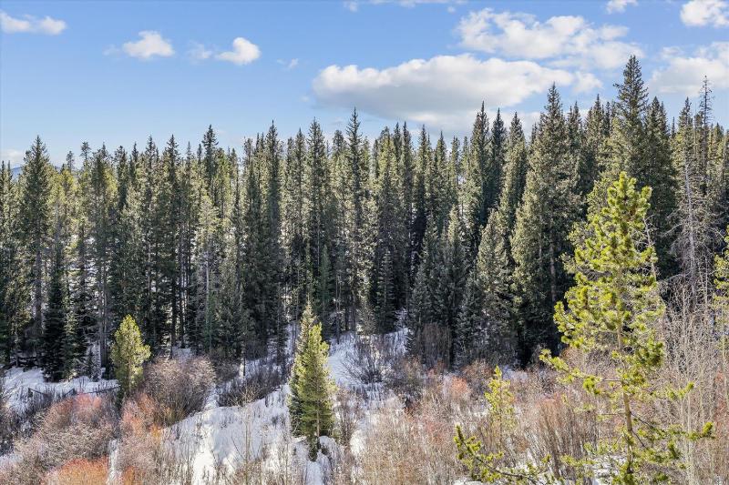 Snowflake Lookout: Ski In/Out Breckenridge Townhome with Hot Tub - image 12