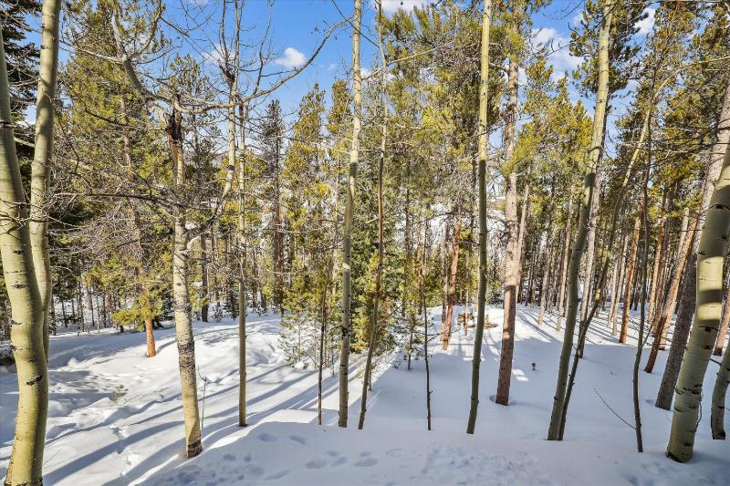 Wildwood Peaks: Secluded Breckenridge Cabin with Hot Tub and Ski Area Views - image 11