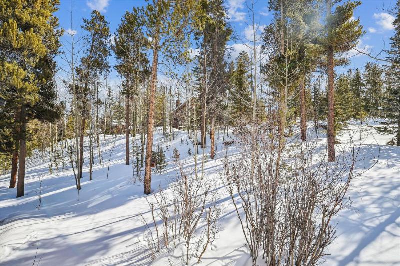 Wildwood Peaks: Secluded Breckenridge Cabin with Hot Tub and Ski Area Views - image 35