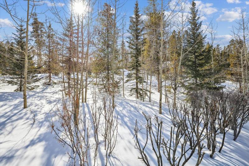 Wildwood Peaks: Secluded Breckenridge Cabin with Hot Tub and Ski Area Views - image 25