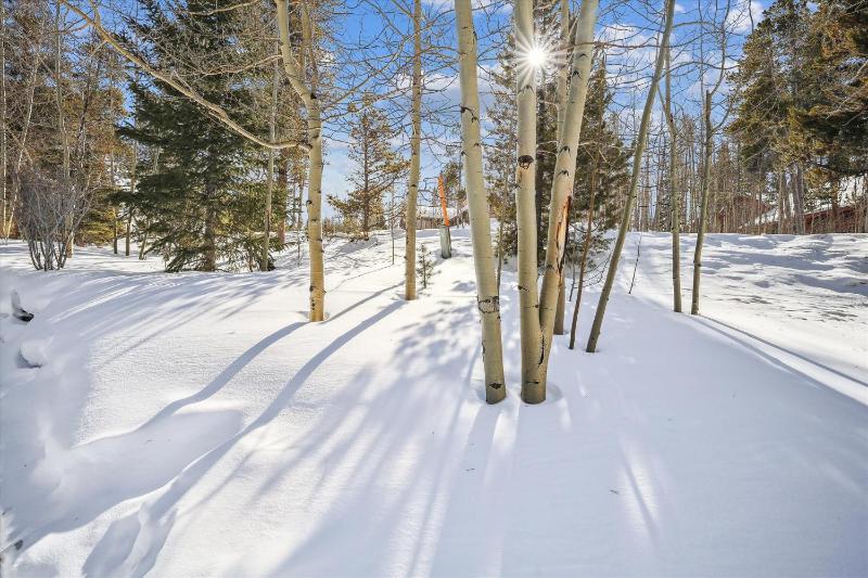 Wildwood Peaks: Secluded Breckenridge Cabin with Hot Tub and Ski Area Views - image 46
